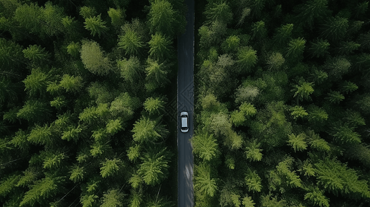 在森林里路俯瞰在绿色森林里穿梭的车背景