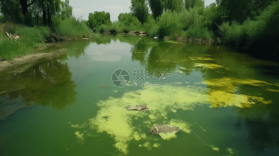 藻类水污染图片