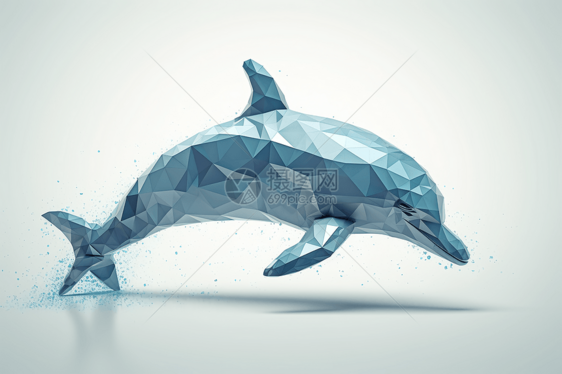 几何图案海豚图片