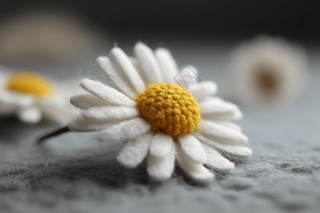 羊毛毡白色小菊花图片