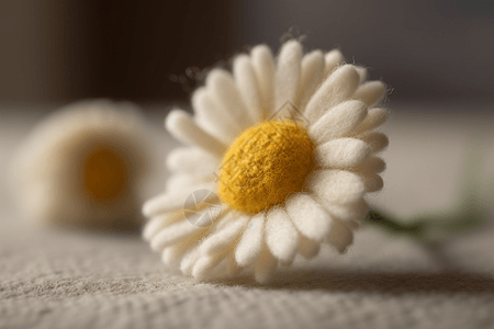 羊毛毡特写雏菊背景图片