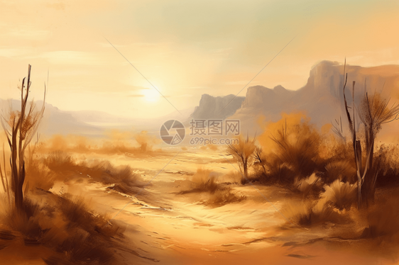 烈日下干旱的沙漠图片