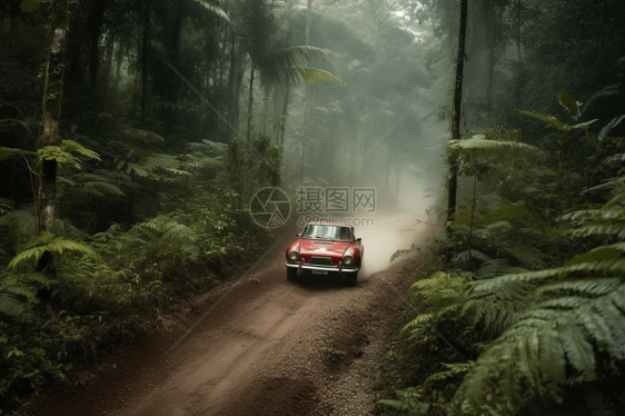 跑车穿越雨林小路图片