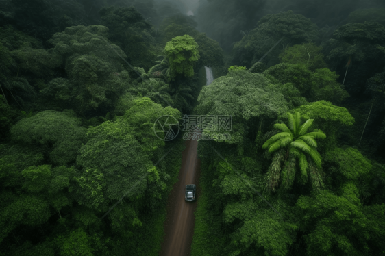 大山中的朦胧热带雨林图片