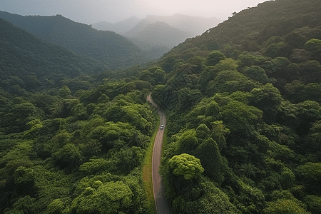 白色汽车在崇山峻岭之间穿梭图片