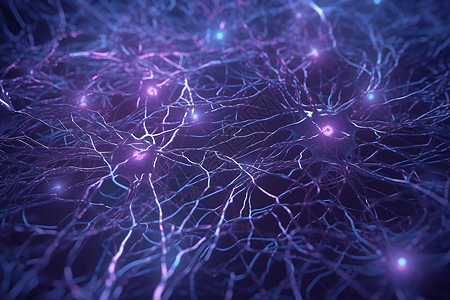 神经通路网络图片