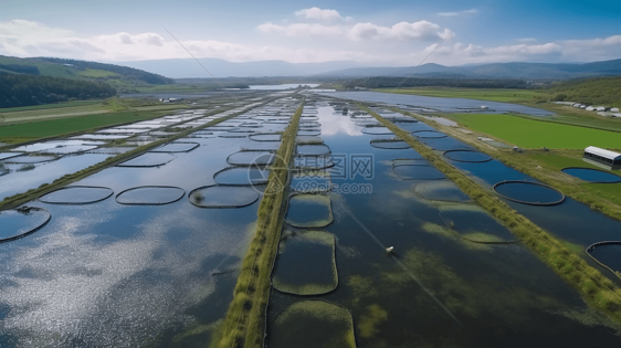 现代化的淡水鱼养殖场图片