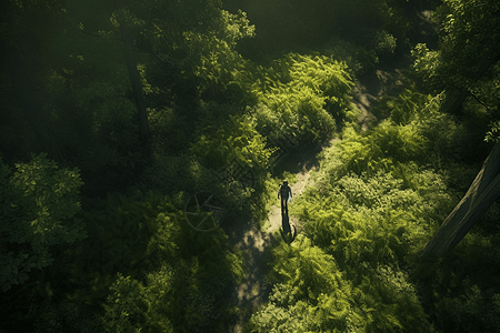旅人在森林图片