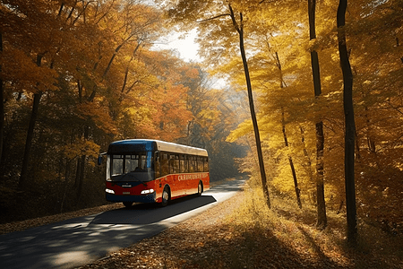 汽车在树林的公路上行驶图片