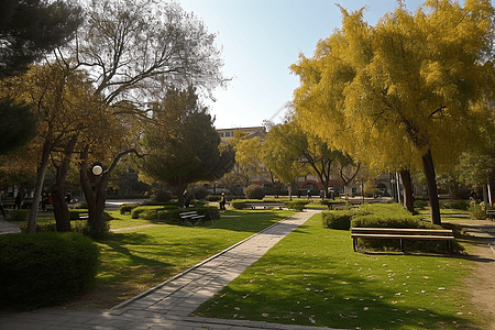 白天的大学场地图片