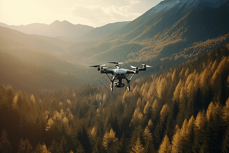 森林上空的无人机图片