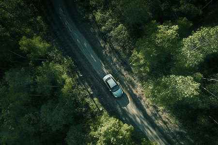 汽车在森林中行驶图片
