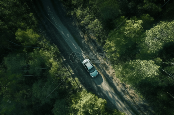 汽车在森林中行驶图片