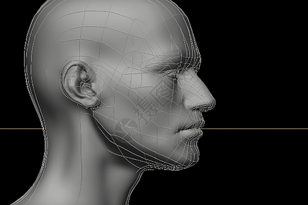 人类头部3D模型背景图片