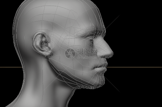 人类头部3D模型图片