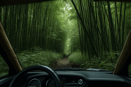 汽车在竹林中导航驾驶图片