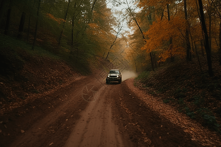 汽车在森林驾驶图图片