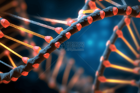 dna螺旋结构特写图片