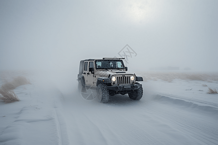 穿越暴风雪图片