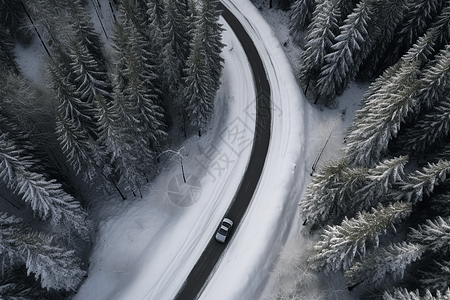 汽车雪道上行驶图片