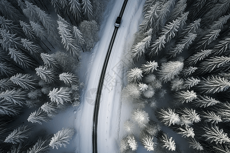 车驶过雪景道路图片