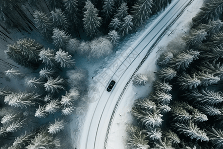 森林道路视角图片