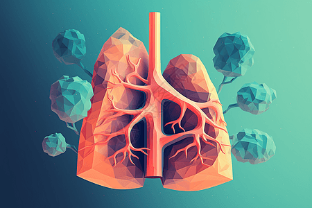 肺的艺术化3D图图片