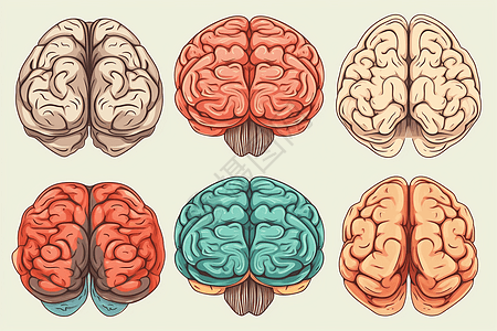 不同风格的大脑平面插画图片
