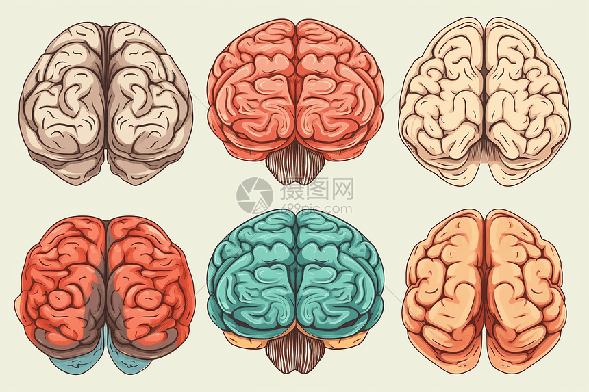 不同风格的大脑平面插画图片