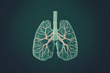 深绿色肺部概念图图片