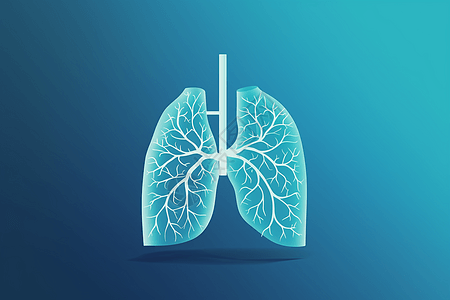 肺部平面插画图片
