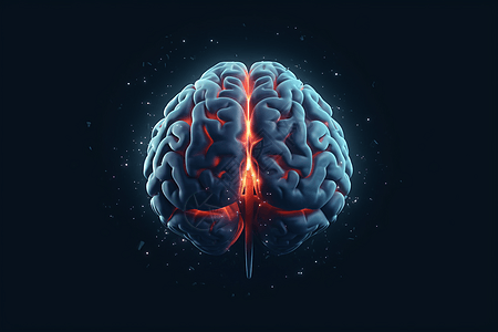 人脑概念图大脑结构高清图片