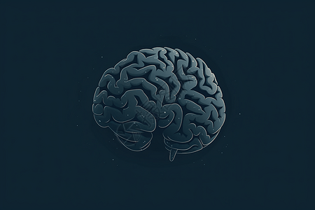 人脑器官概念图图片