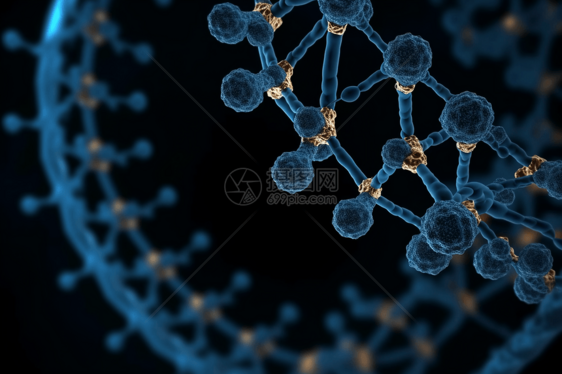 脱氧核糖核酸链图片