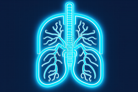 蓝色呼吸道图片