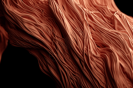 人体肌肉纤维纹理图片