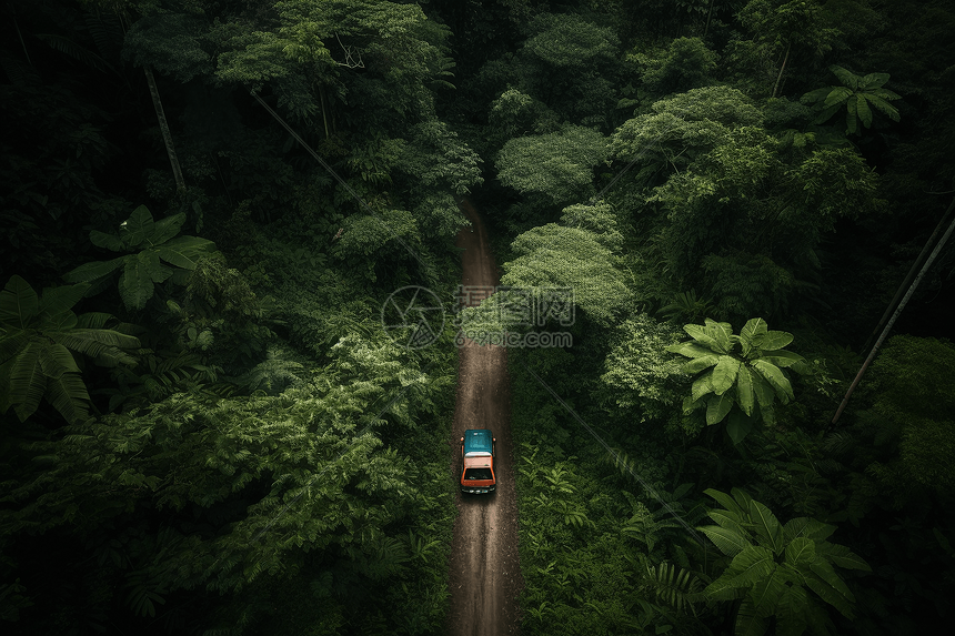 汽车驶过蜿蜒的道路图片