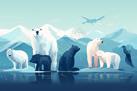 北极的白色北极熊图片