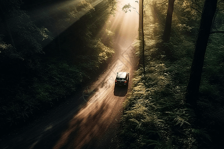 汽车道路树林里的车辆背景