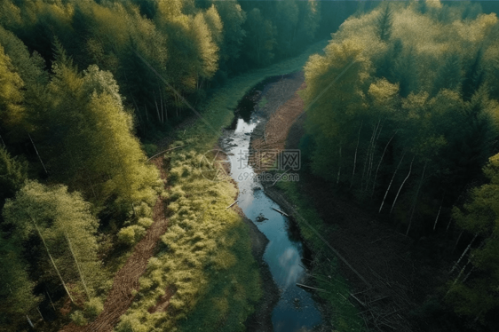树林里的河流图片