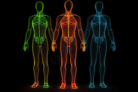 人体经络的透视插图背景图片