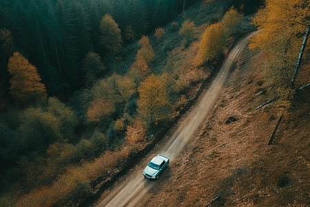 森林背景中的道路图片