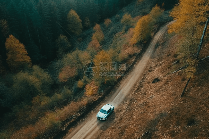 森林背景中的道路图片