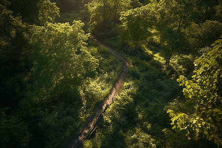 蜿蜒的小路图片