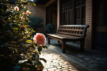 山茶花在院子里开花图片