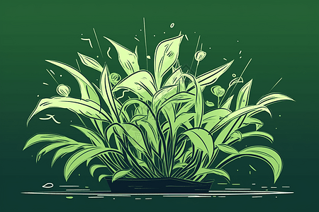 黄耆植物的正面插图图片