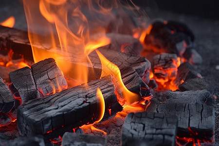 烤架上燃烧的木炭特写图图片