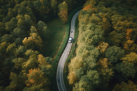 森林蜿蜒道路上的卡车图片