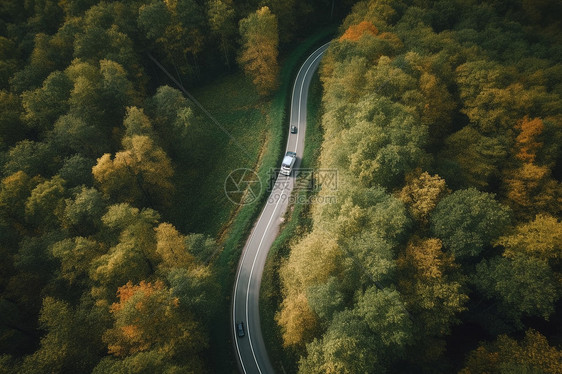 森林蜿蜒道路上的卡车图片