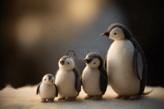羊毛毛毡企鹅家庭图片
